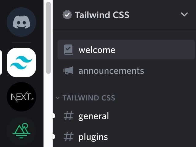 Discord interface showing default browser scrollbars in the Server and Channel sections